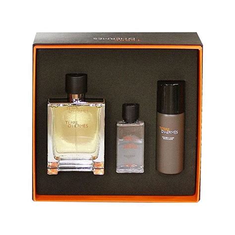 hermes chemist warehouse|Hermes terre 100ml.